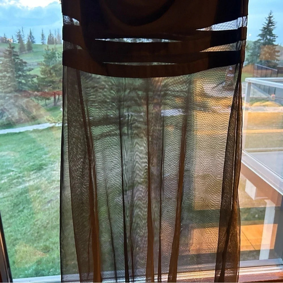 Beautiful Lian Yi Fang gown- worn  once, gothic with sheer cutaways and long - Picture 2 of 8